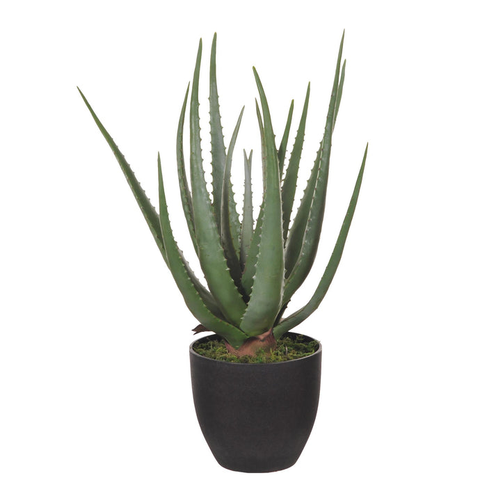 Aloe Artificiale con Vaso, 17 Foglie Altezza 55 cm Verde