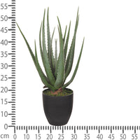 Aloe Artificiale con Vaso, 17 Foglie Altezza 55 cm Verde