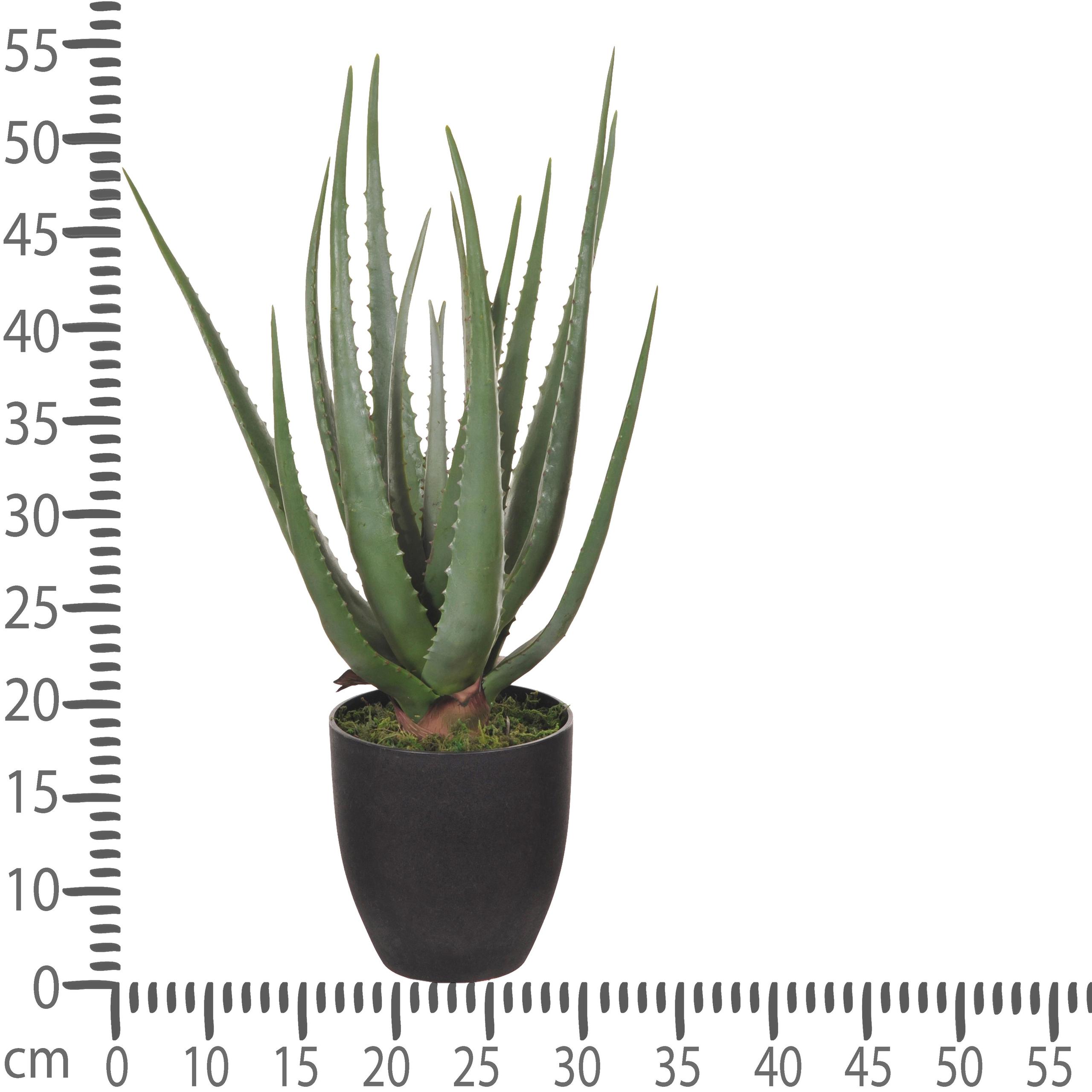 Aloe Artificiale con Vaso, 17 Foglie Altezza 55 cm Verde