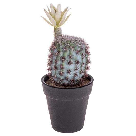 Set 6 Cactus Artificiale con Vaso Altezza 18 cm