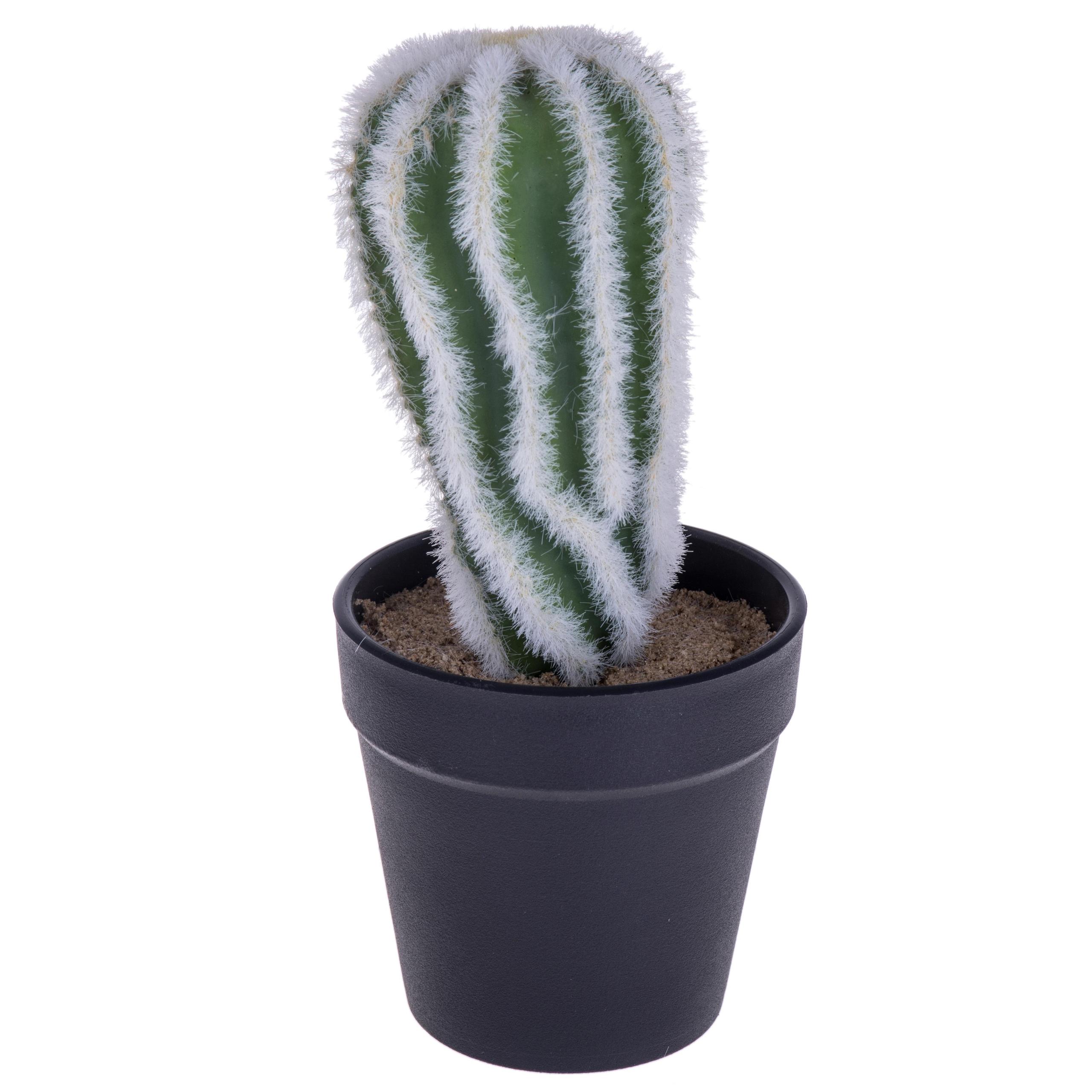 Set 4 Cactus Artificiale con Vaso Altezza 20 cm