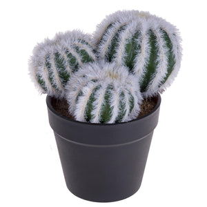 Set 4 Cactus Artificiale X 3 con Vaso Altezza 12 cm