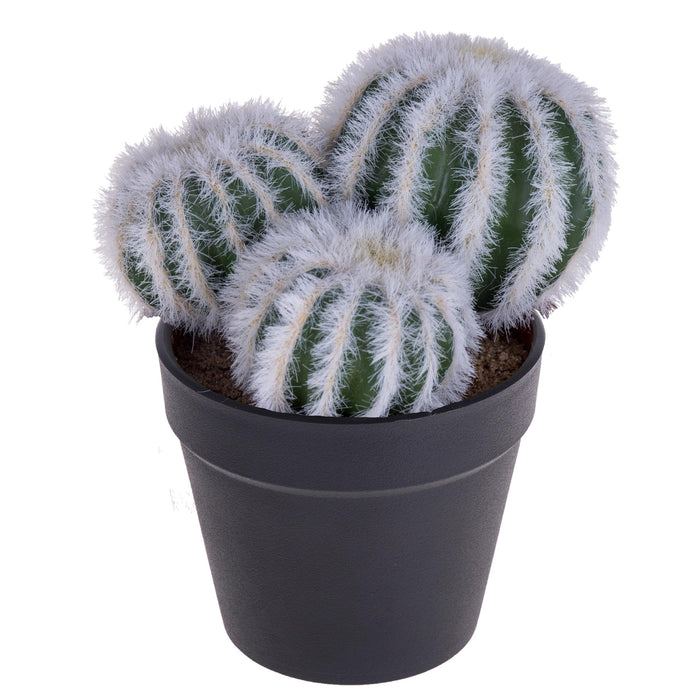 Set 4 Cactus Artificiale X 3 con Vaso Altezza 12 cm