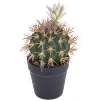 Set 3 Cactus Artificiale con Fiori in Vaso Altezza 19 cm