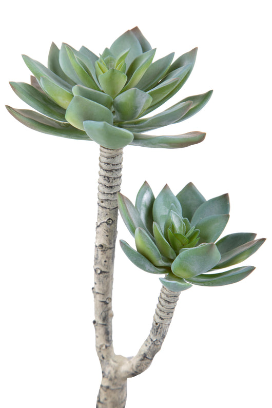 Set 3 Succulent Artificiale a 2 Diramazioni Altezza 22 cm Grigio