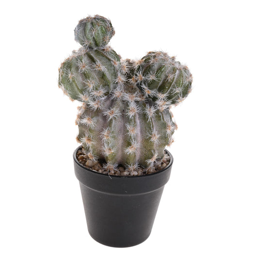 Pianta di Cactus Artificiale con Vaso Altezza 28 cm