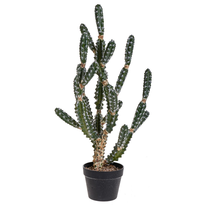 Cactus Euphorbia Artificiale con Vaso Altezza 84 cm