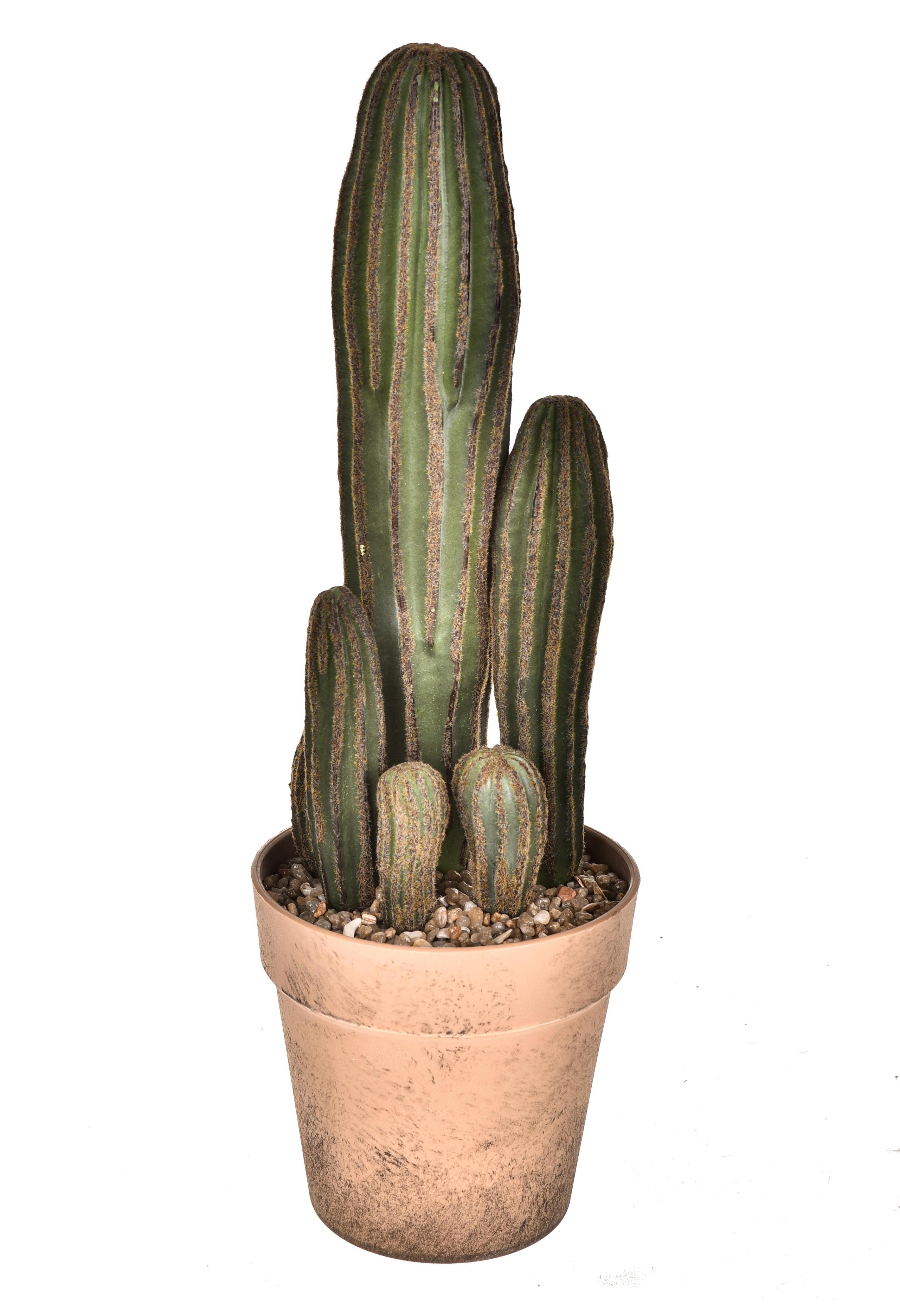 Set 2 Pianta di Cactus Artificiale con Vaso Altezza 24 cm Verde