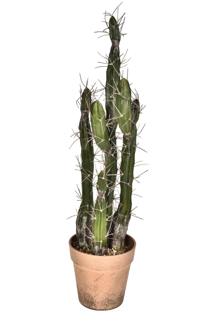 Pianta di Cactus Artificiale con Vaso Altezza 61 cm Verde