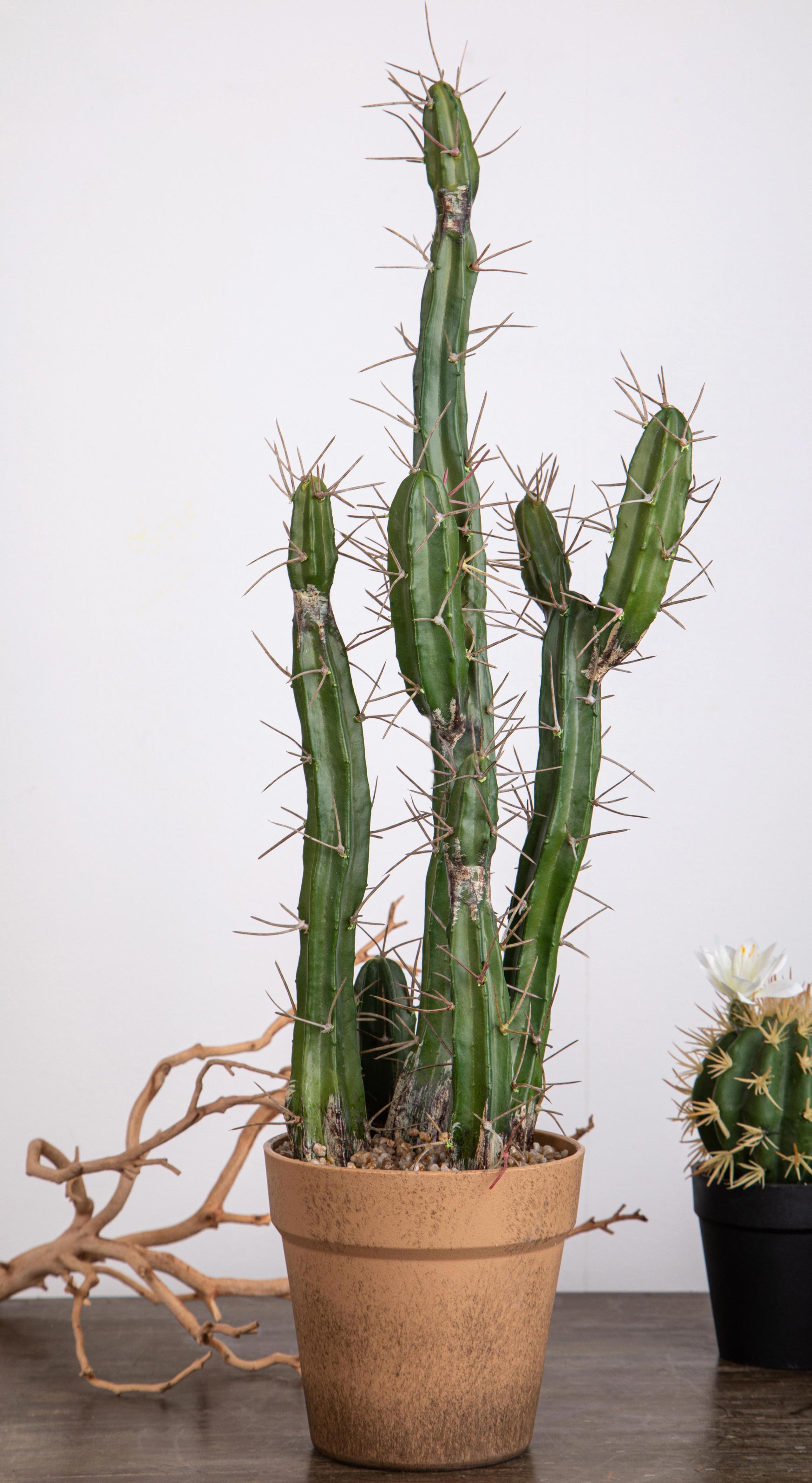 Pianta di Cactus Artificiale con Vaso Altezza 61 cm Verde