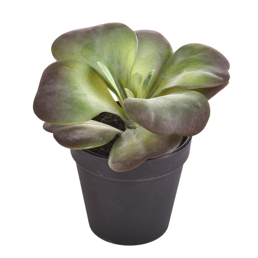 Set 2 Kalanchoe Succulent Artificiale con Vaso Altezza 16,5 cm Verde