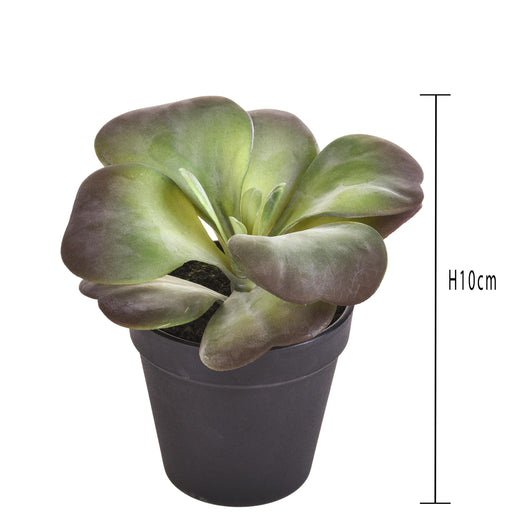 Set 2 Kalanchoe Succulent Artificiale con Vaso Altezza 16,5 cm Verde