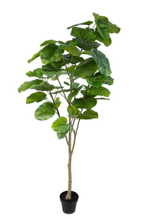 Pianta Artificiale di Ficus Real Touch con 64 Foglie in Vaso Altezza 200 cm Verde