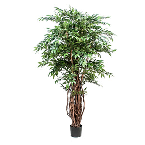 Ficus Weeping Artificiale con 2821 Foglie Altezza 152 cm Verde