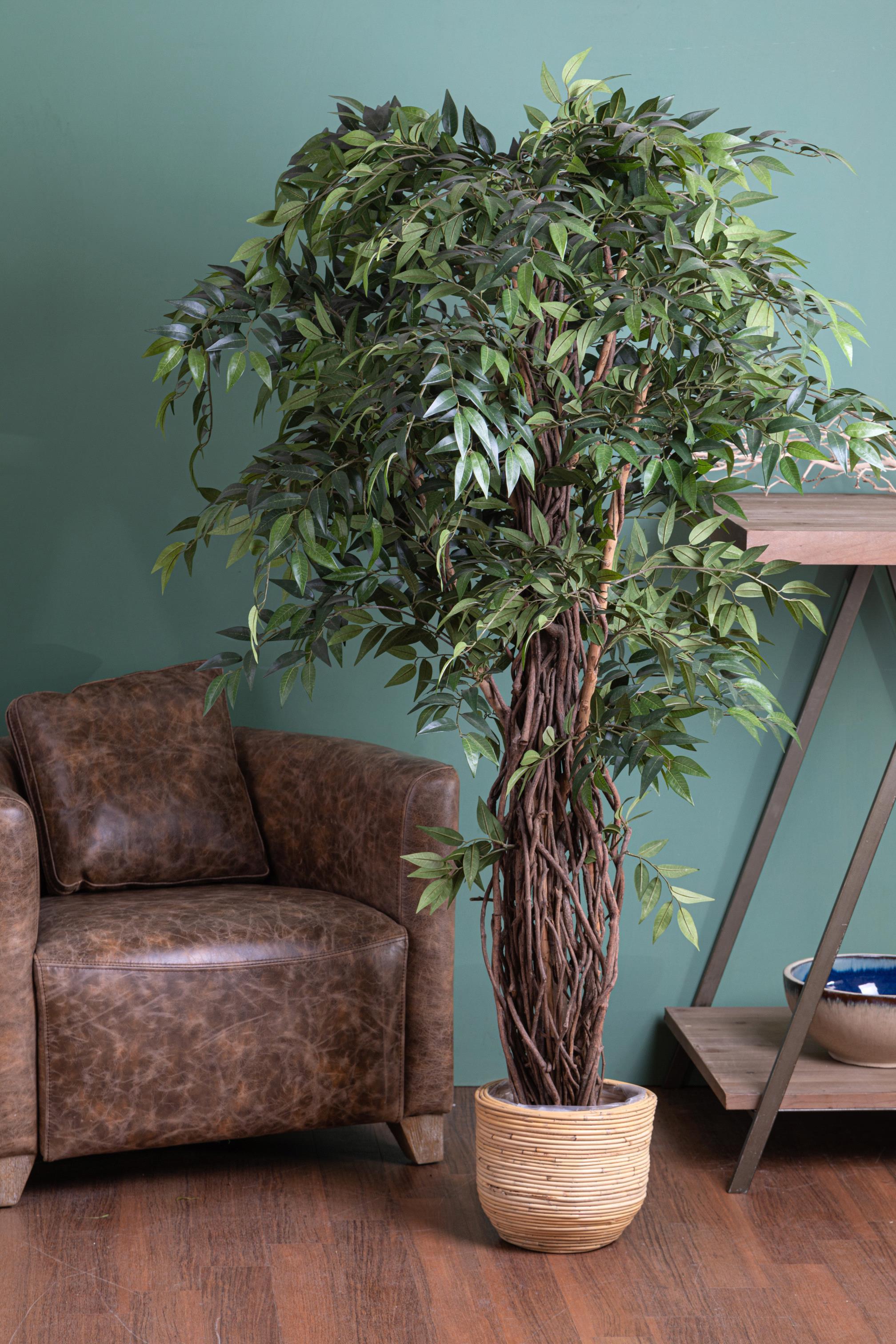 Ficus Weeping Artificiale con 2821 Foglie Altezza 152 cm Verde