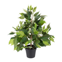 Ficus Artificiale con Vaso Altezza 55 cm Verde