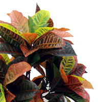 Croton Artificiale con Vaso Altezza 160 cm Verde