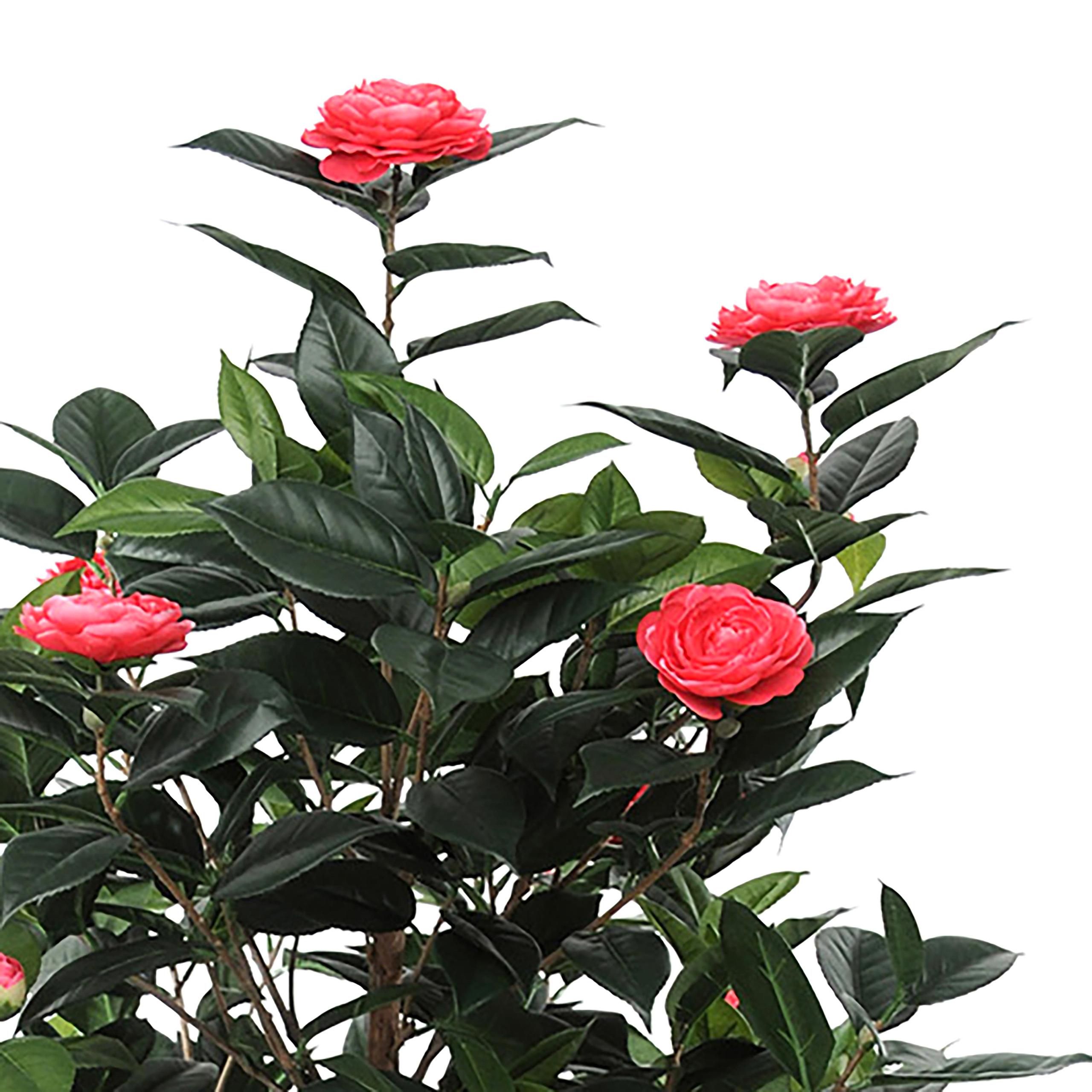 Albero di Camelia Artificiale con 678 Foglie e 28 Fiori Altezza 143 cm Rosa