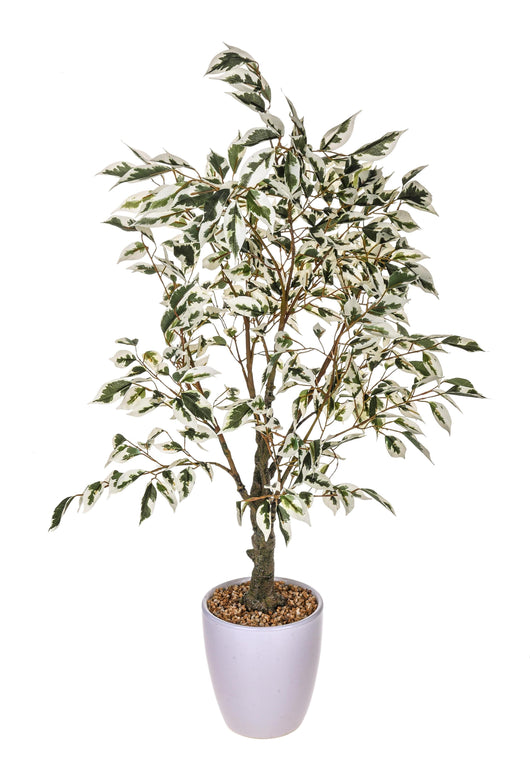 Ficus Artificiale con Vaso Altezza 70 cm