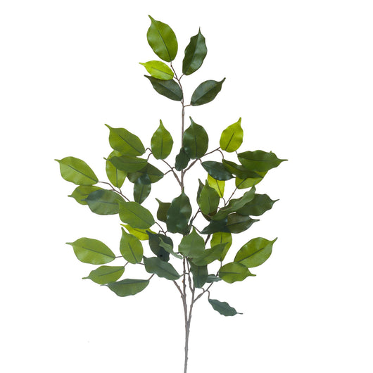 Set 12 Rami di Ficus Artificiale con 42 Foglie Altezza 60 cm Verde