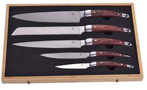 Set 5 Coltelli Chef Manico in Legno con Custodia