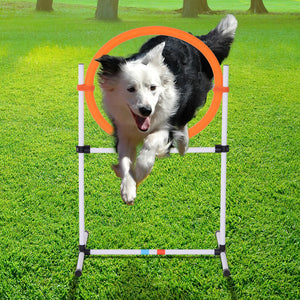 Set Agility Dog Portatile 74,5x66x91 cm con Anello e Sbarra Bianco e Arancione