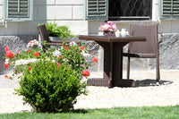 Sedia da Giardino 60x61xh88 cm in Polyrattan Adila Noce