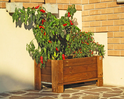 Giardiniera per Fiori e Piante a Terra 81x36xh40 cm in Legno FSC Castagno