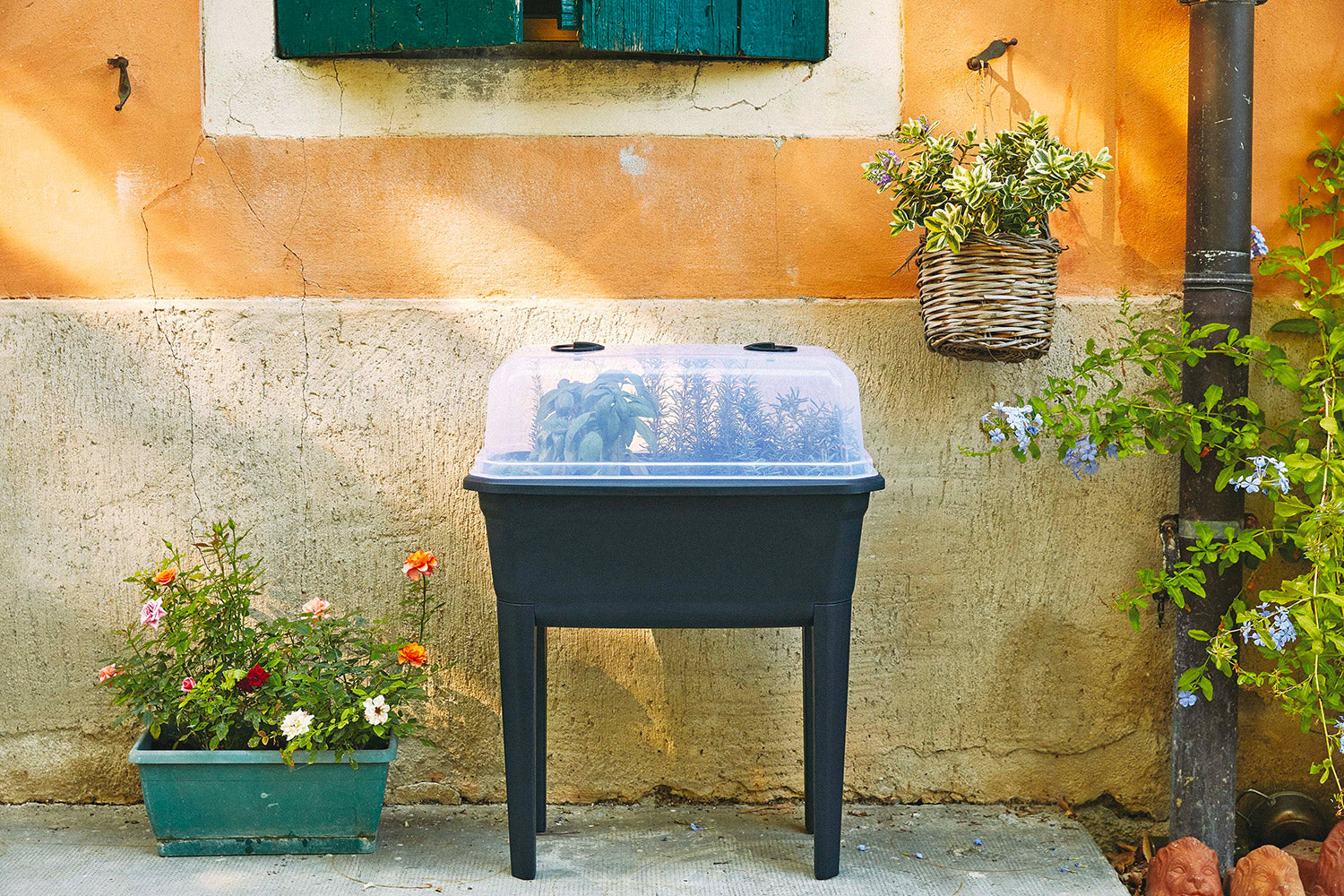 Orto da Balcone 35 Litri per Piante e Verdure con Copertura