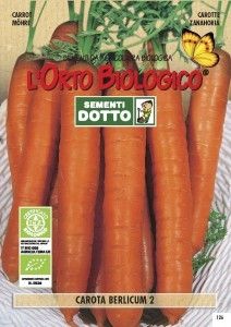 SEMENTI CAROTA BERLICUM