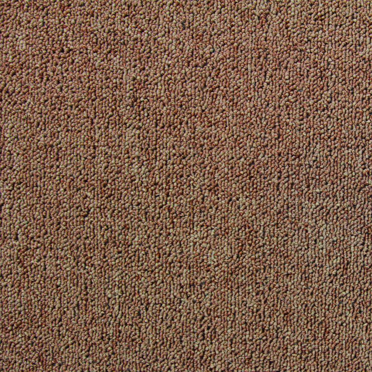 20 Quadrotte di Moquette 50x50cm Colore Antracite 5mq Dure per Casa e Ufficio