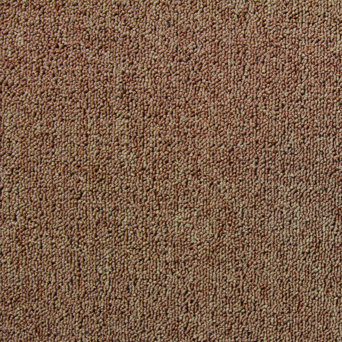 20 Quadrotte di Moquette 50x50cm Colore Antracite 5mq Dure per Casa e Ufficio