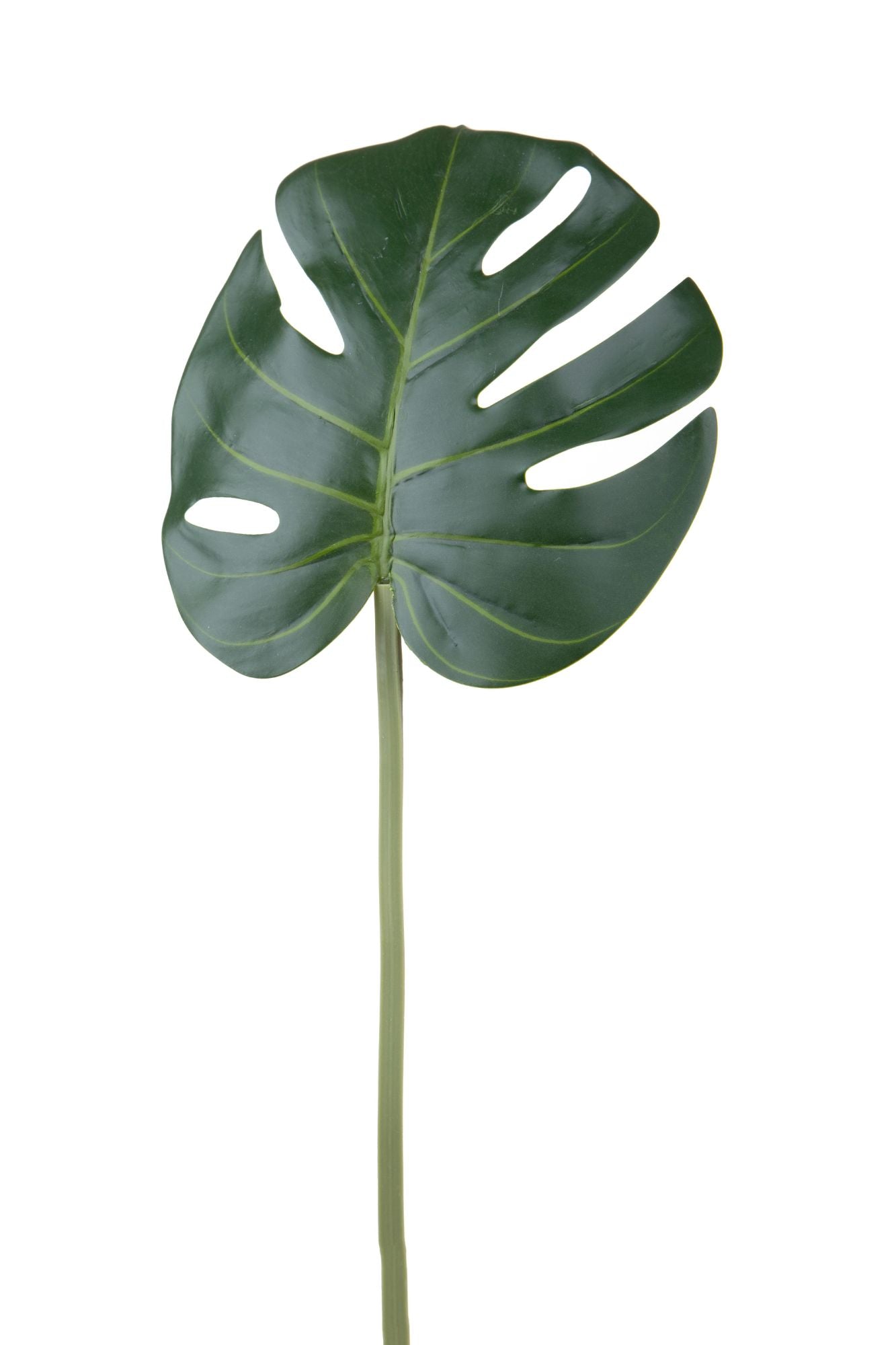 Set 12 Foglia Artificiali Monstera 55 cm