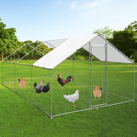 Gabbia Pollaio Recinto Recinzione Box Inox da Galline Pollame Polli 4m x 6m x 2m