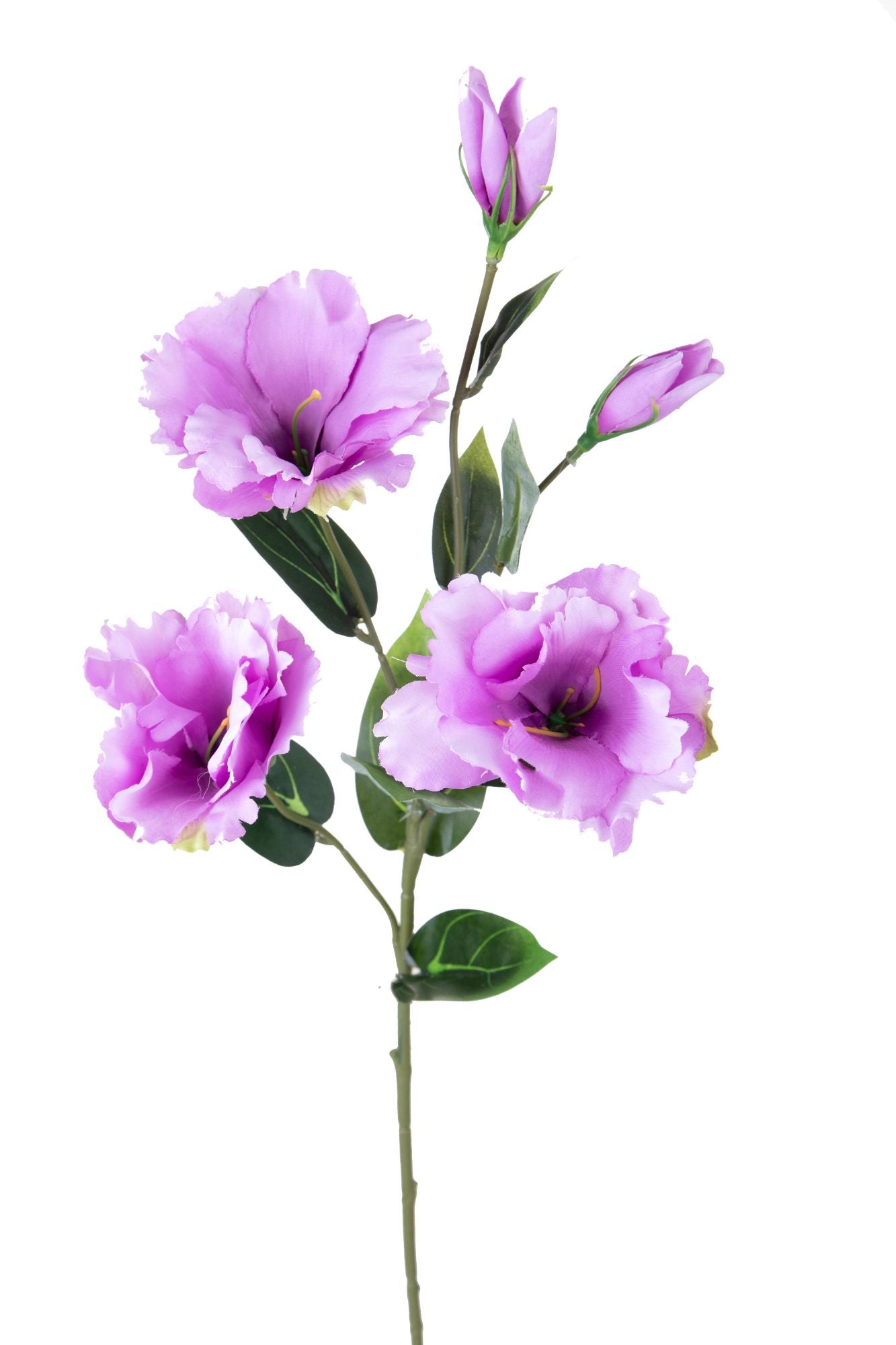 Set 12 Rami Artificiali Lisianthus con 5 Fiori 72 cm