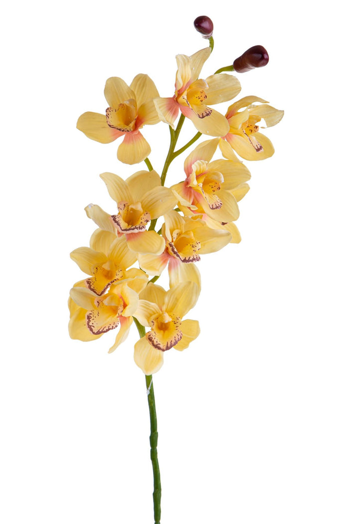 Set 2 Rami Artificiali Cymbidium Real Touch con 10 Fiori e 2 Bocci H 92 cm