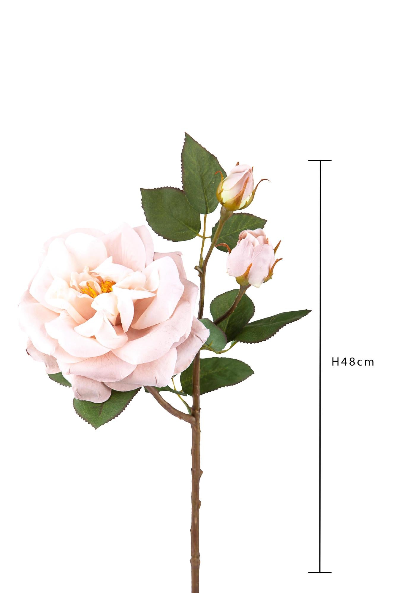 Set 4 Rose Artificiali Inglese H 48 cm