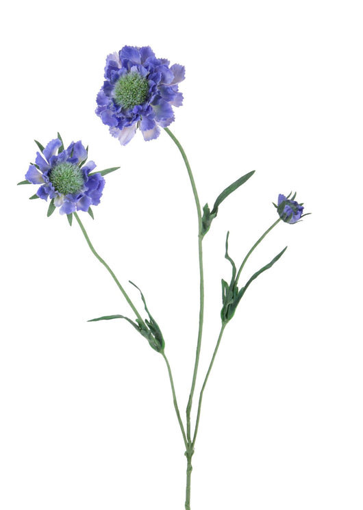 Set 6 Rami Artificiali Fiore di Scabiosa con 3 Diramazioni H 64 cm