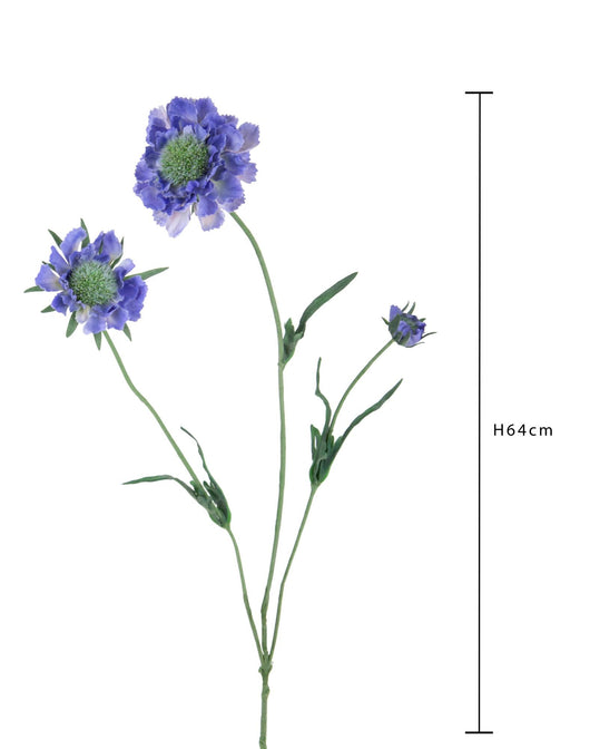 Set 6 Rami Artificiali Fiore di Scabiosa con 3 Diramazioni H 64 cm