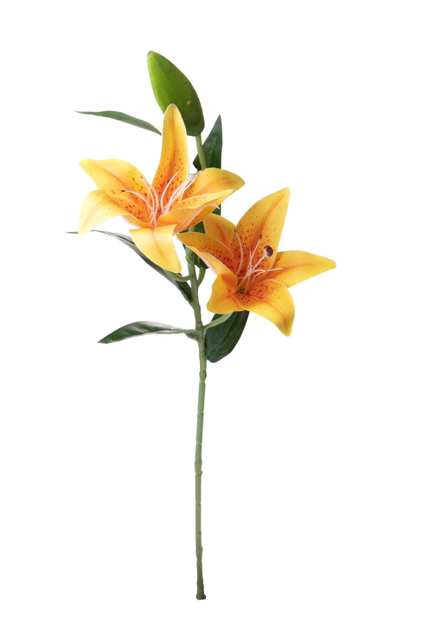 Set 6 Rami Artificiali Lilium x2 66 cm