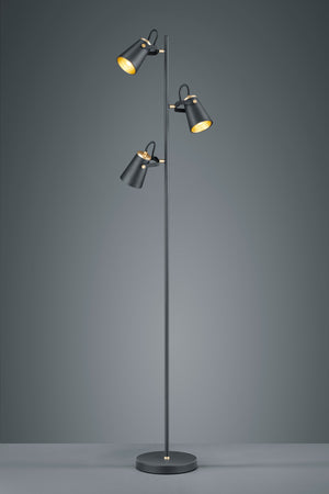 Lampada Piantana 160 cm 3 Diffusori Orientabili Nero Oro Edward GD Trio