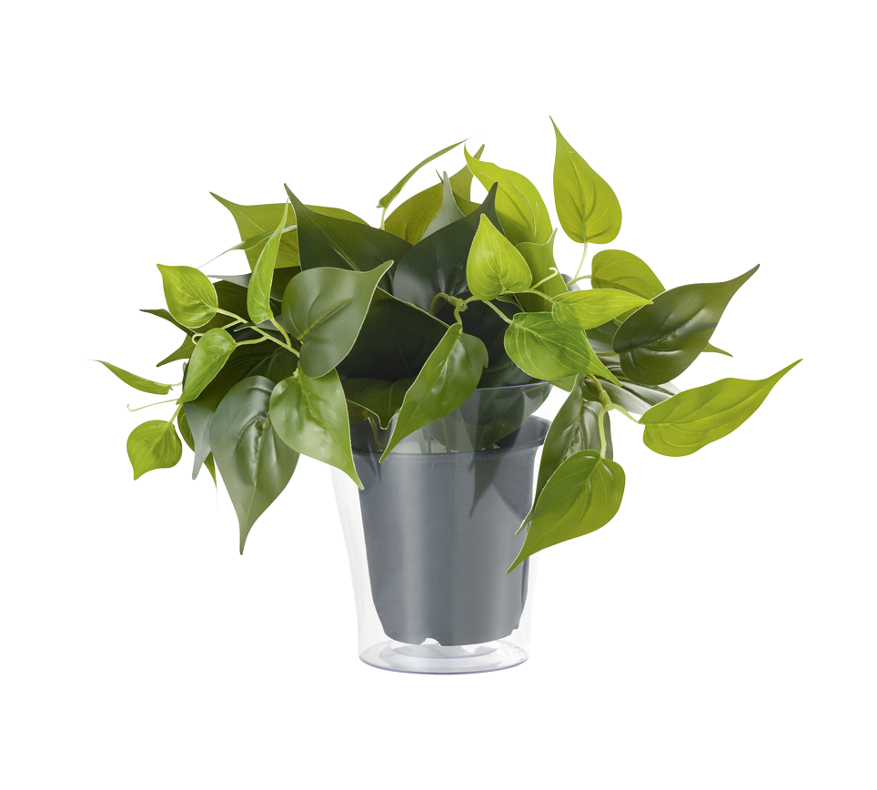 Pianta Finta con Vaso Trasparente Arredo Casa Interno Plant GD Trio