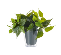 Pianta Finta con Vaso Trasparente Arredo Casa Interno Plant GD Trio