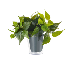 Pianta Finta con Vaso Trasparente Arredo Casa Interno Plant GD Trio