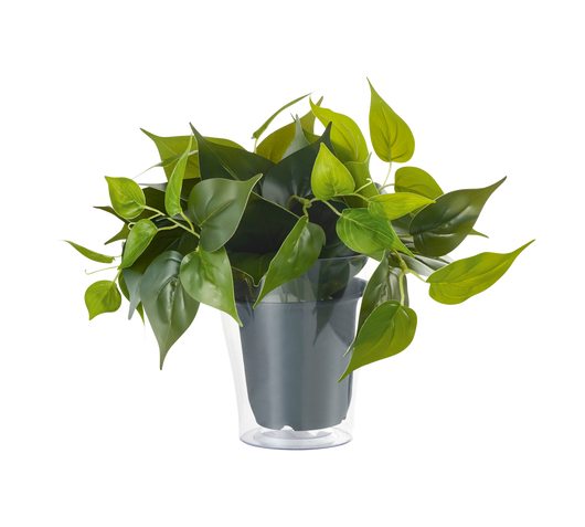 Pianta Finta con Vaso Trasparente Arredo Casa Interno Plant GD Trio