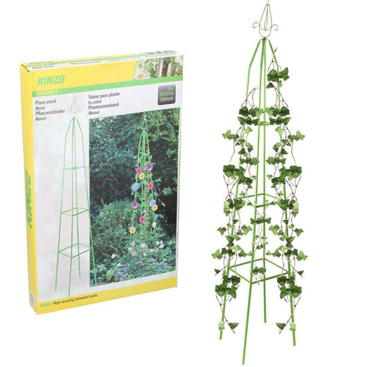 Supporto Piante Fiori Rampicanti Supporto Obelisco Piramide da Giardino 31x200cm