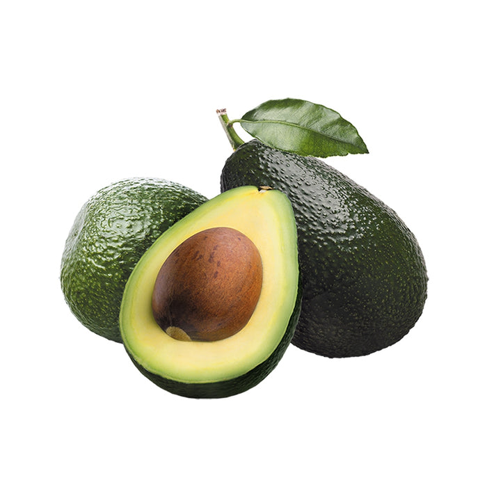 Pianta Albero di AVOCADO esotico frutti tropicali vaso20cm h110cm FOTO REALE