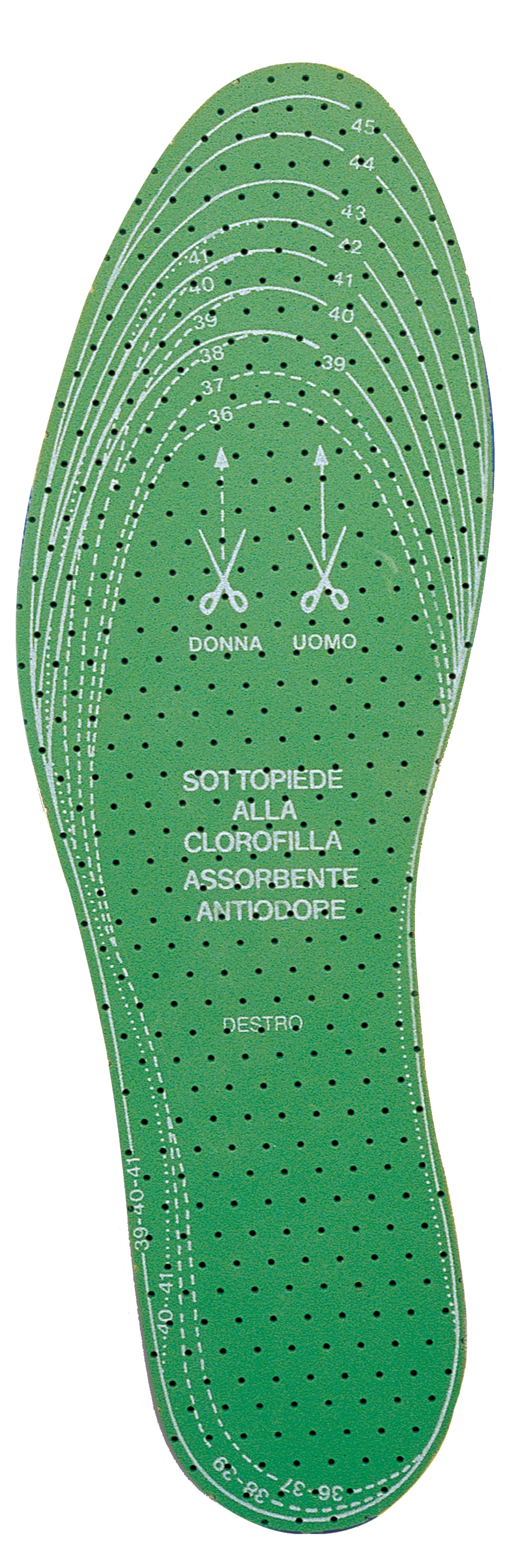 SOLETTE DX-SX CLOROFILLA MIS.DA 36 A 46  PA 24,0