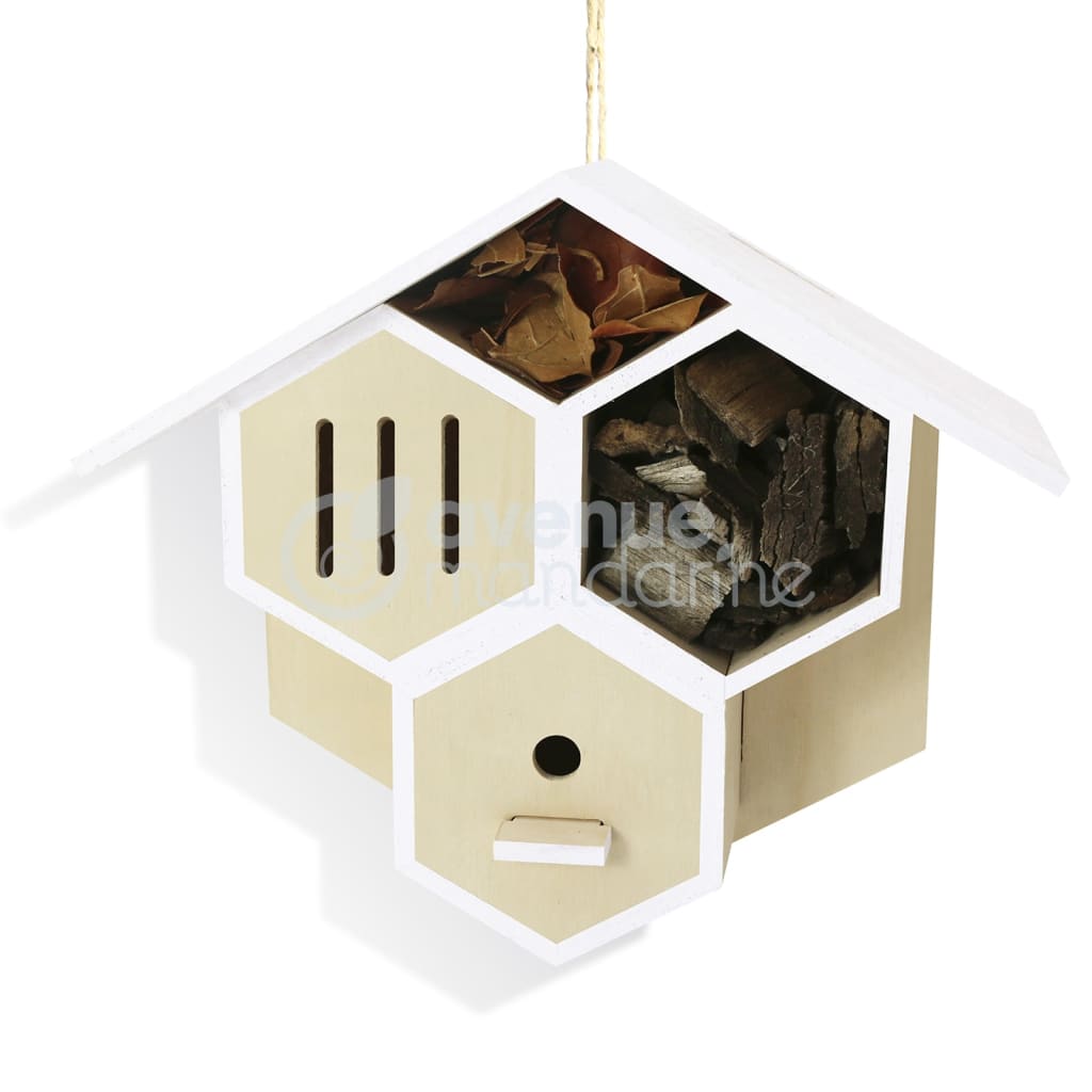 Avenue Mandarine Cofanetto Creativo Bug House to Build 444557