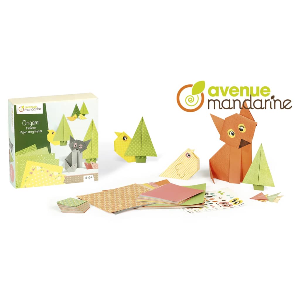 Avenue Mandarine Cofanetto Creativo Origami Initiation 444560